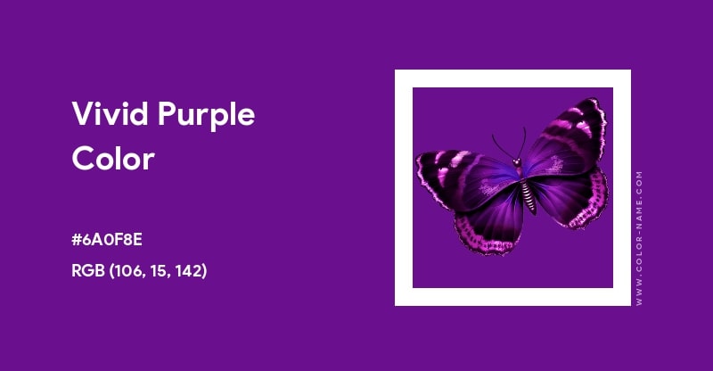 Vivid Purple