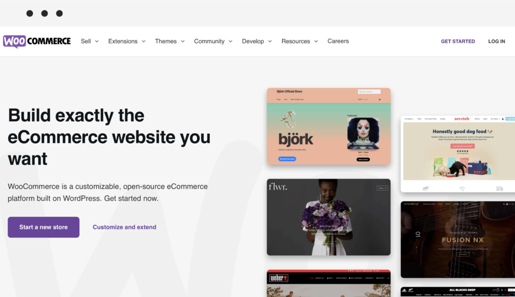 Shopify alternatives — WooCommerce