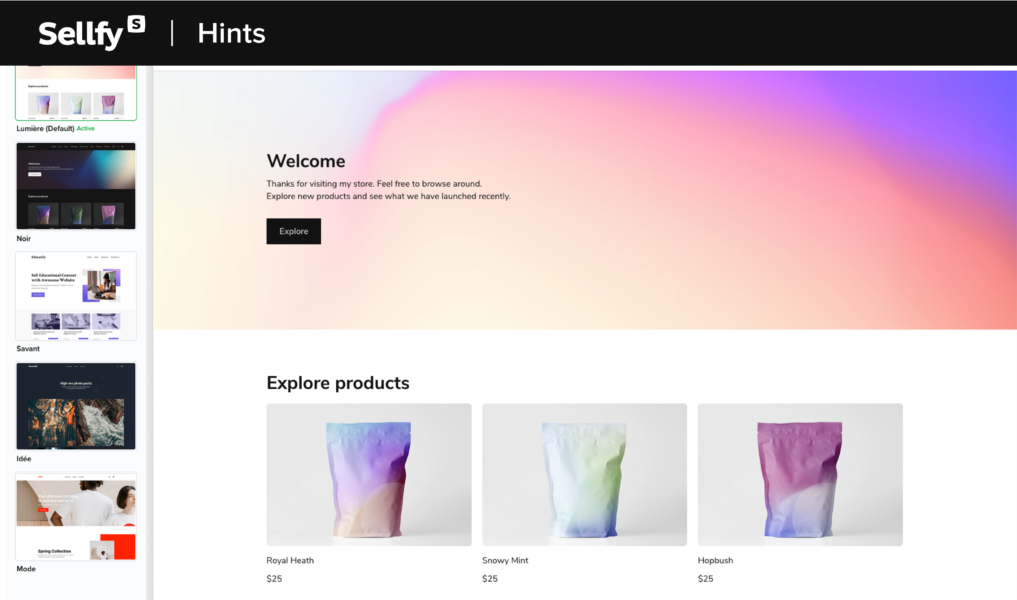 Sellfy store themes