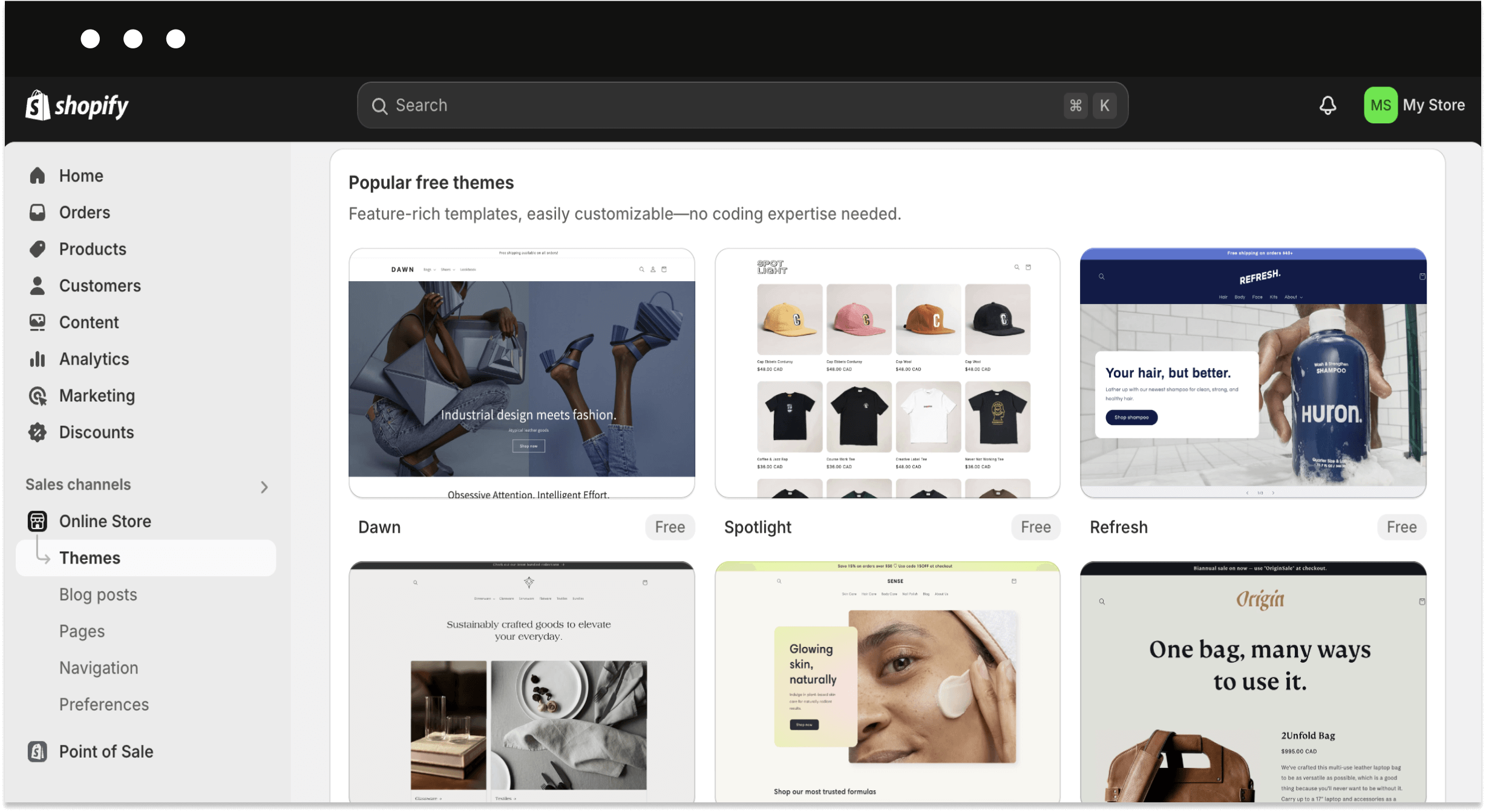 Shopify store themes